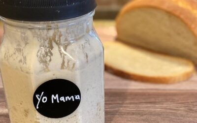 Introducing Yo Mama