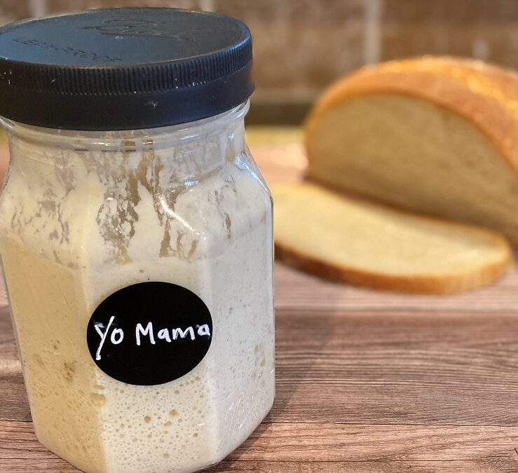 Introducing Yo Mama