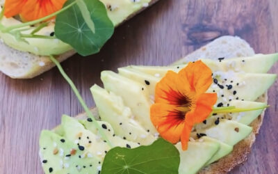 Nasturtiums