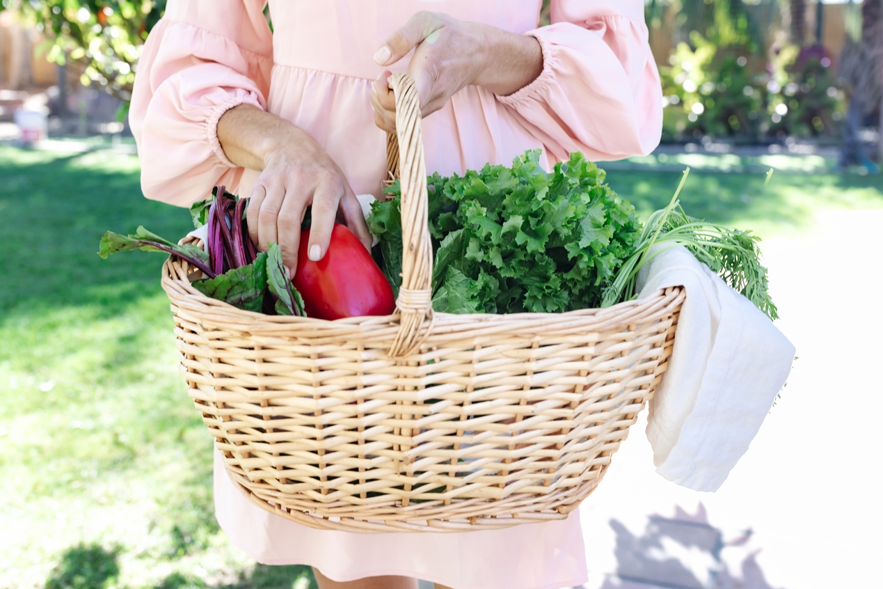 Kat Burris Nutrition Services Needs