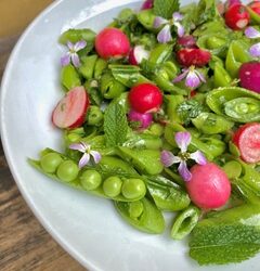 Spring Sugar Snap Pea, Radish and Mint Salad