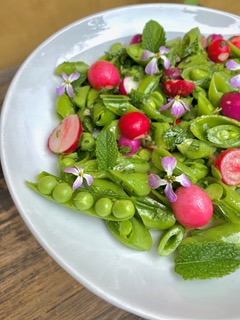 Spring Sugar Snap Pea, Radish and Mint Salad